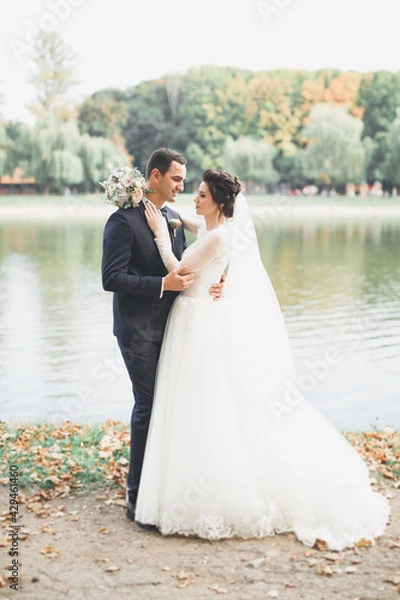 Fototapeta Romantic, fairytale, happy newlywed couple hugging and kissing in a park, trees in background