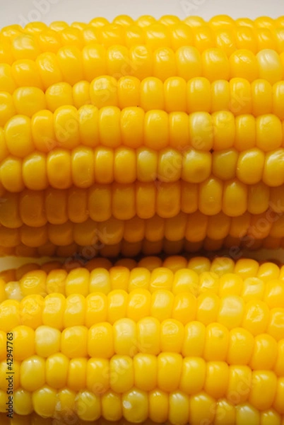 Obraz corn