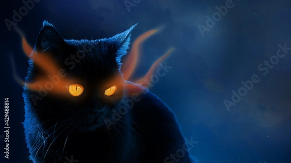 Fototapeta black mystical cat on the background of the night sky