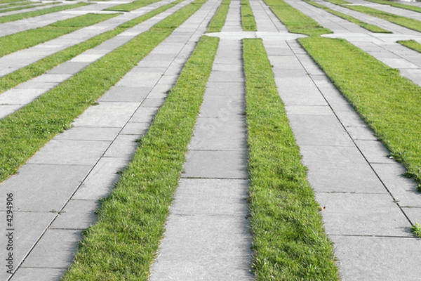 Obraz Grass pavement strips