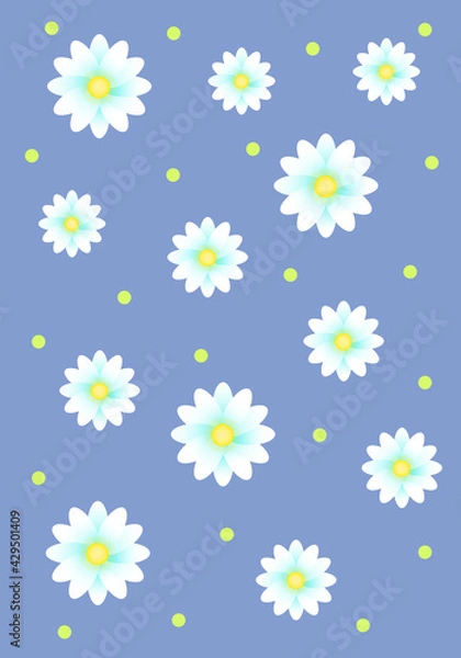 Fototapeta Seamless pattern with camomiles or daisy 