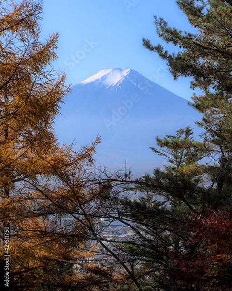 Obraz View of Mount Fuji through a break in the canopy of an autumnal forest under a blue sky, with part of the city of Fujiyoshida visible through the leaves