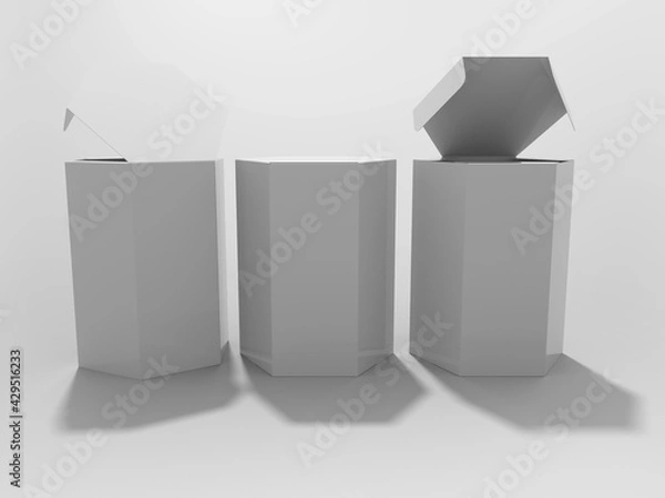 Obraz 3D Rendering Product Packaging Template