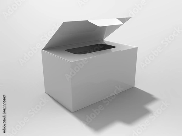 Obraz 3D Rendering Product Packaging Template