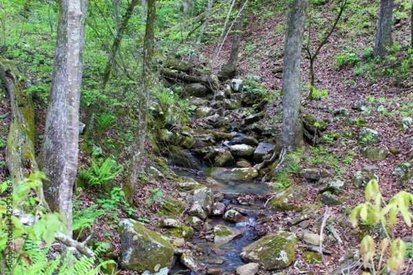 Obraz Beautiful mountain stream in the Ozarks.