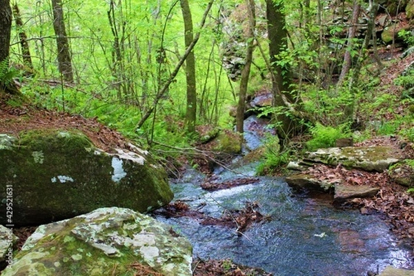Obraz Beautiful mountain stream in the Ozarks.