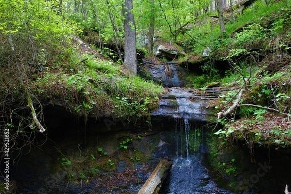 Obraz Beautiful mountain waterfall in the Ozarks. 