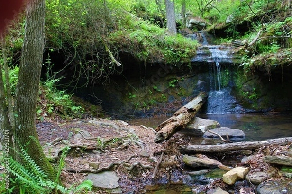 Obraz Beautiful mountain waterfall in the Ozarks. 