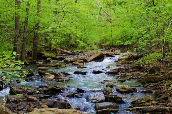 Obraz Beautiful mountain waterfall in the Ozarks. 