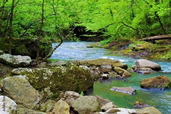 Obraz Beautiful mountain waterfall in the Ozarks. 