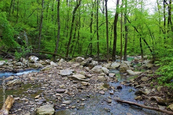 Obraz Beautiful mountain stream in the Ozarks.