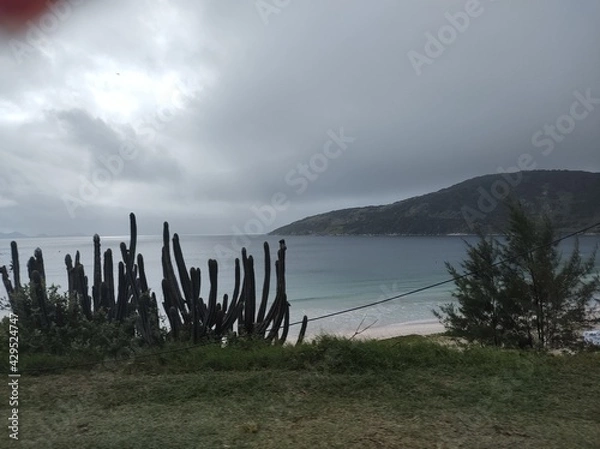 Obraz lake and mountains