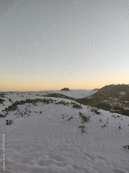 Obraz sunset on the beach