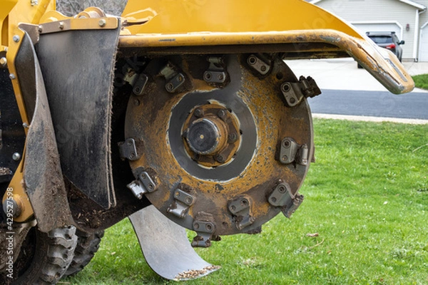 Obraz stump grinder blade