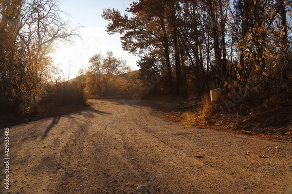 Obraz Dirt Roads