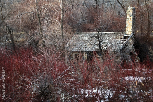 Fototapeta Abandonded
