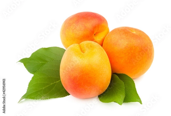 Fototapeta three apricots