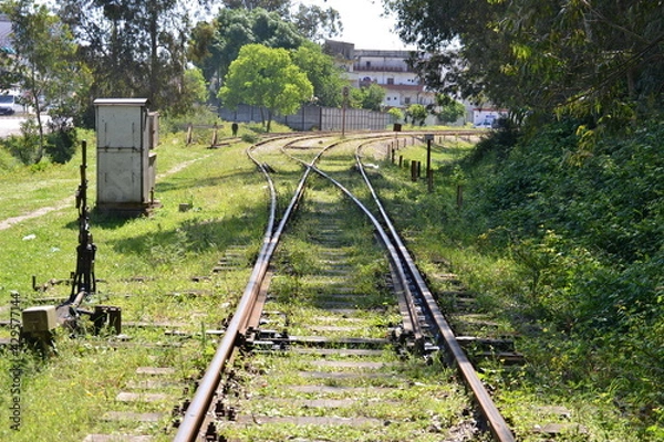 Fototapeta train tracks