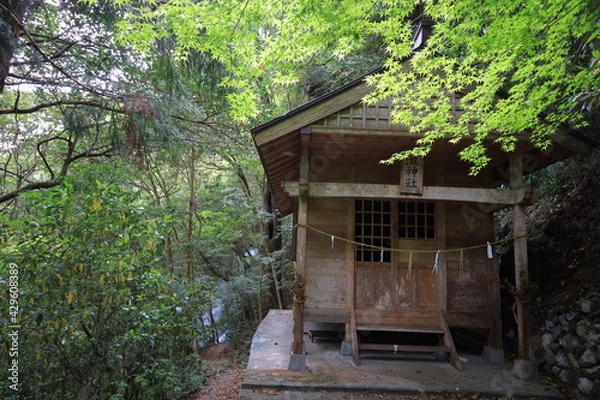 Fototapeta ジブリの世界