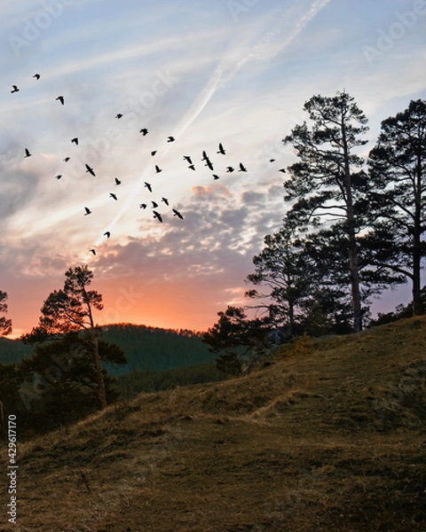 Obraz sunset in the mountains