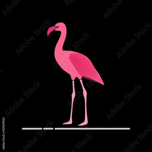 Fototapeta Flamingo vector art and graphics