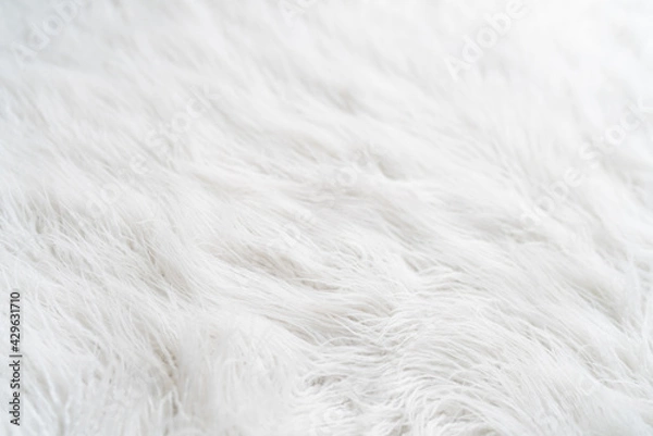 Fototapeta Textured white background with hairy fur carpet, close-up