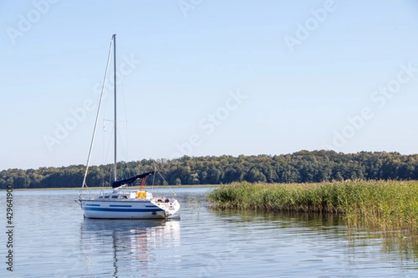 Fototapeta boats on the river
