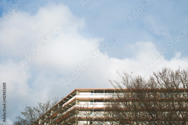 Fototapeta clouds and sky