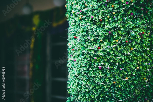 Fototapeta green leaves background