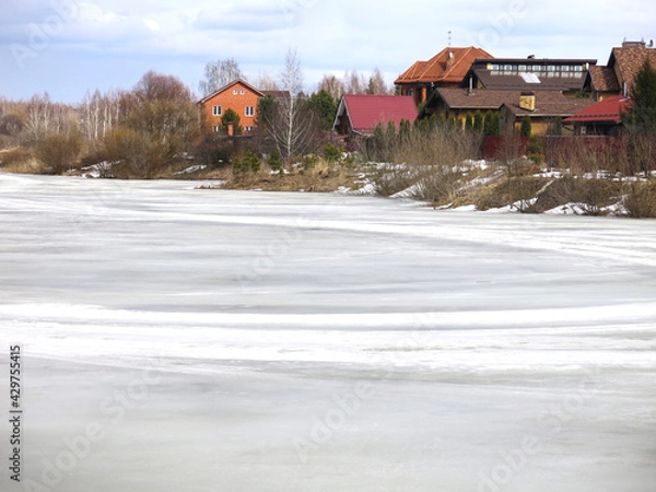 Fototapeta country pond, covered with a crust of spring ice with cozy houses in the distance