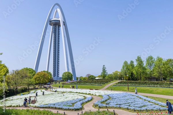 Obraz 愛知県一宮市 国営木曽三川公園　138タワーパーク ツインアーチ138とネモフィラ畑