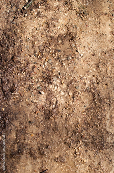 Obraz Background, texture, design. Small stones on wet ground made of melted snow.