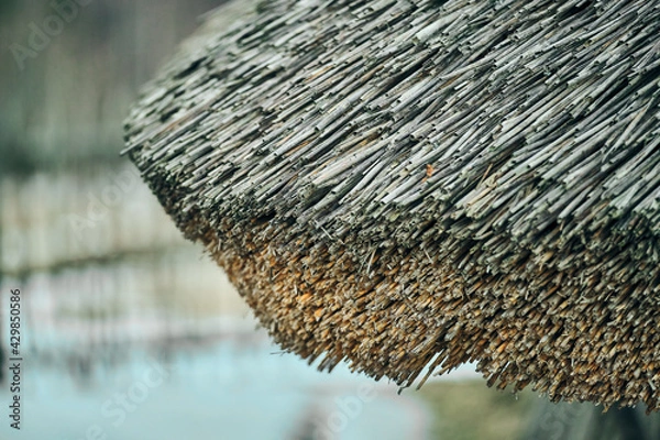 Obraz Pictures from small old village in Latvia