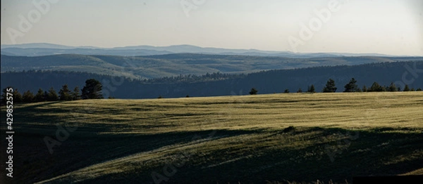 Obraz Plateau cévenol