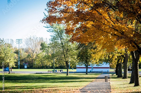 Obraz autumn in the park