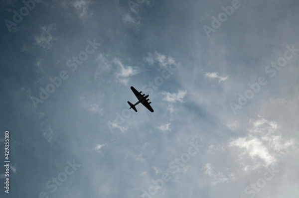 Obraz airplane in the sky