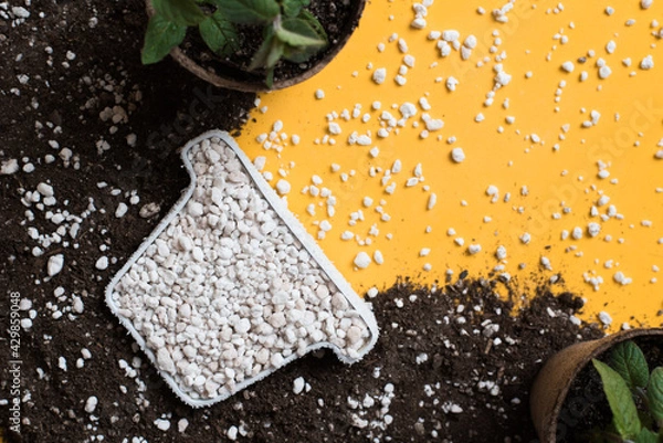 Fototapeta Horticultural perlite in a pot-shaped container and potting soil made of peat, perlite and worm humus with peat pots and peppermint plants. Horizontal image with copy space. 