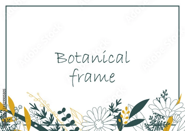 Fototapeta Botanical frame illustration. Invitation or greeting card templates (white background, vector, cut out)