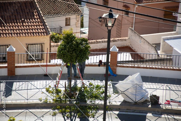 Obraz Two people is sculpting the tree