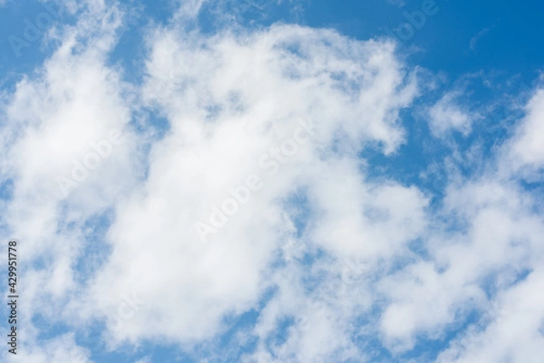 Fototapeta 春の空２０２１年（其の弍）