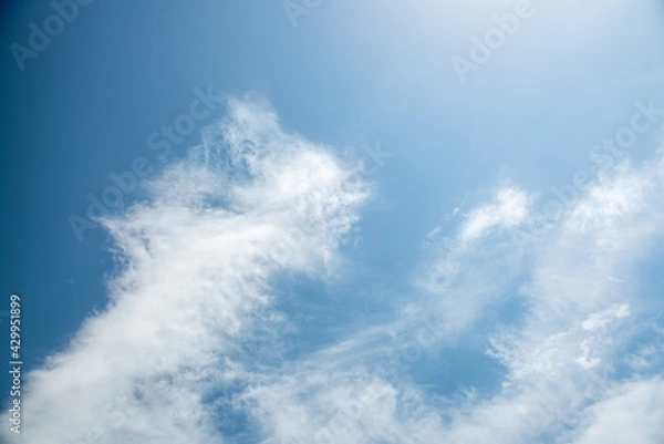 Obraz 春の空２０２１年（其の四）