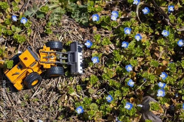 Fototapeta 花畑を破壊するホイールローダー