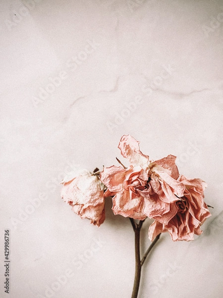 Obraz Flowers minimal