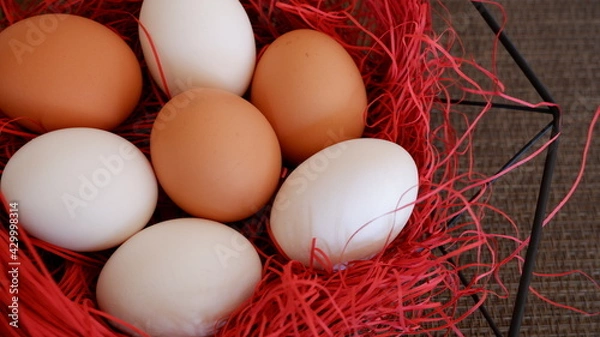 Fototapeta 商用で使える卵の写真