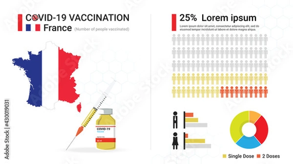 Fototapeta Covid-19 vaccine infographic. Coronavirus vaccination in France. Design by map of France, vaccine bottle, syringe and progress of French's immune reconstitution, statistic chart. Vector illustration