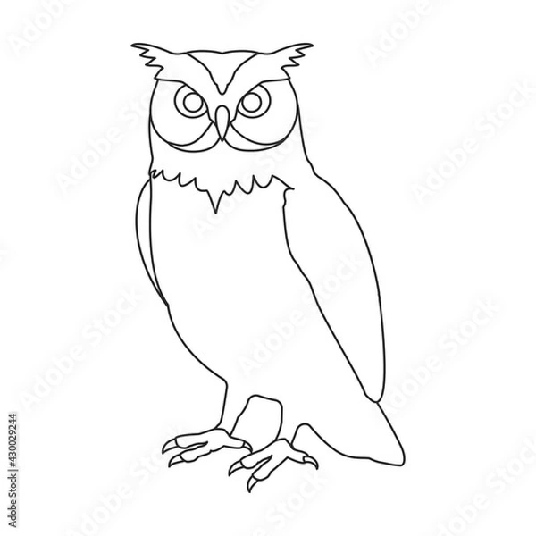 Fototapeta Owl vector outline icon. Vector illustration bird on white background. Isolated outline illustration icon of owl .