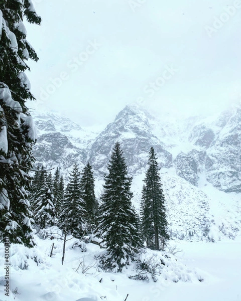 Obraz snow covered mountains