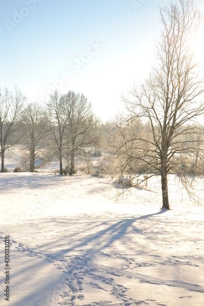 Obraz winter scene