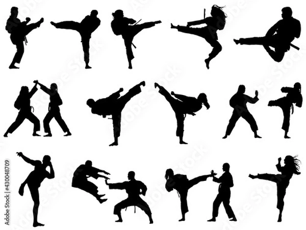 Obraz 空手シルエット_セット