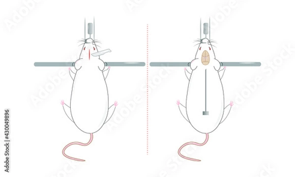 Obraz Stereotaxic surgery